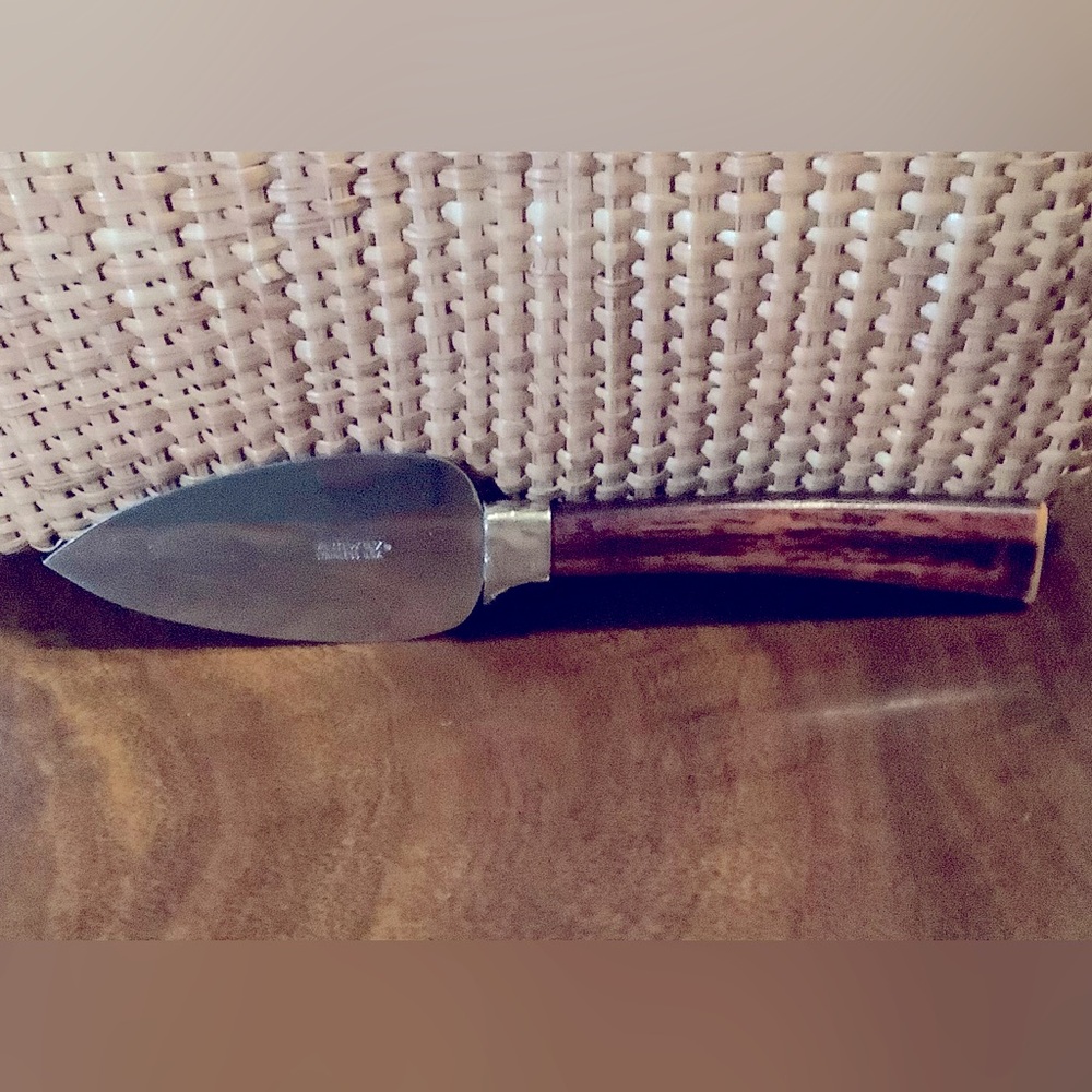 Vintage Amway Stainless Steel & Faux Bois Bakelite Cheese Knife or Spreader